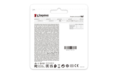 Kingston DataTraveler